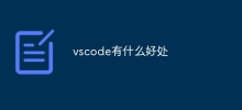 vscode의 장점은 무엇입니까?
