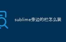 sublime旁边的栏怎么装