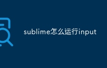 sublime怎么运行input