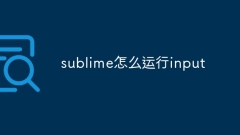 sublime怎麼運行input
