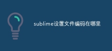 sublime設定檔編碼在哪裡