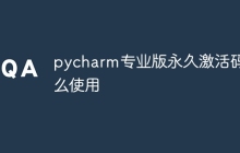 pycharm专业版永久激活码怎么使用