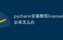pycharm安装教程licenses跳出来怎么办