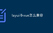 layui与vue怎么兼容