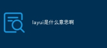 layui是什麼意思啊