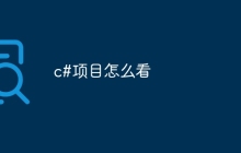 c#项目怎么看