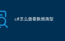 c#怎么查看数据类型