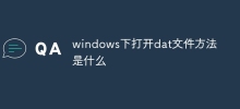 windows下開啟dat檔案方法是什麼