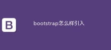 bootstrap怎麼樣引入
