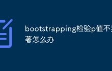 bootstrapping检验p值不显著怎么办