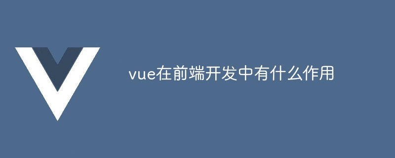 vue는 프론트엔드 개발에서 어떤 역할을 합니까?