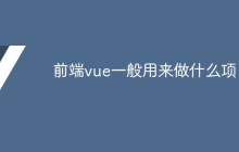 前端vue一般用来做什么项目