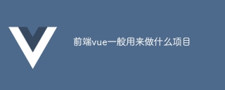 前端vue一般用来做什么项目