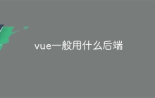 vue一般用什么后端