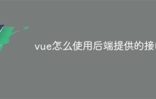 vue怎么使用后端提供的接口