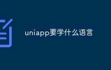 uniapp要学什么语言