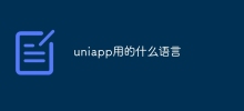 uniapp은 어떤 언어를 사용하나요?