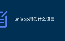 uniapp用的什么语言