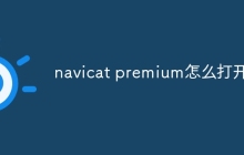 navicat premium怎么打开