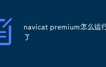 navicat premium怎么运行不了