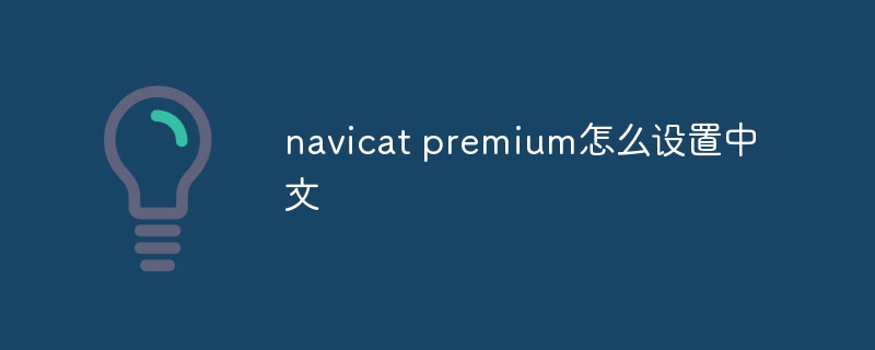 How to set up Chinese in navicat premium