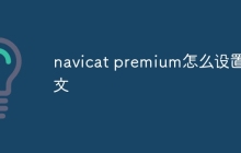 navicat premium怎么设置中文