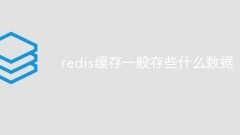 redis缓存一般存些什么数据