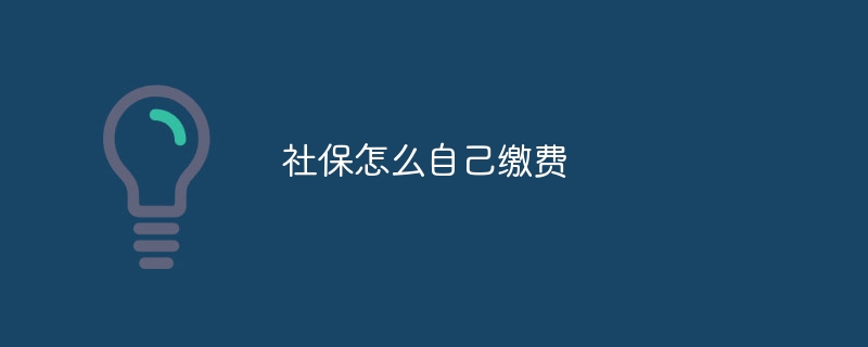 社会保障費を自分で支払う方法