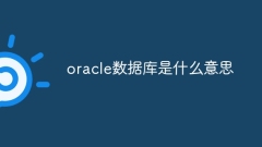 オラクルデータベースとはどういう意味ですか?