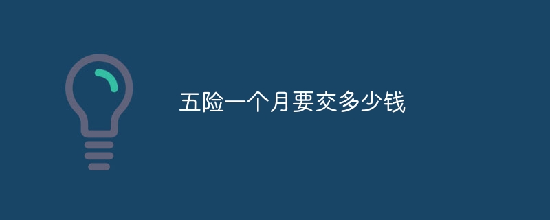 月に5つの保険を支払うといくらかかりますか?