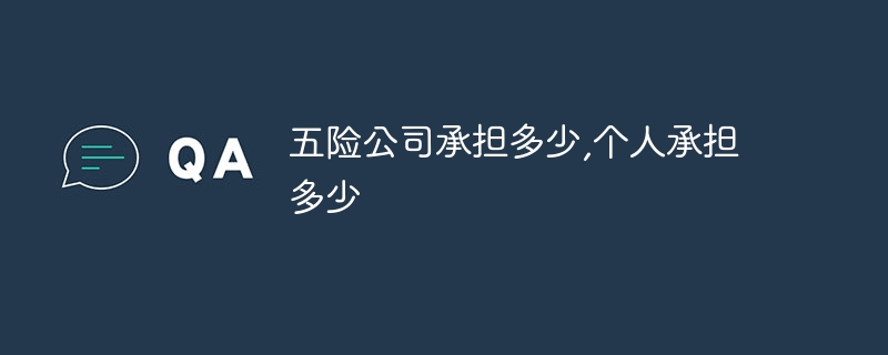 5개 보험사가 부담하는 금액과 개인이 부담하는 금액은 얼마인가요?