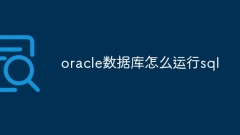 Comment exécuter SQL dans la base de données Oracle