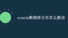 Oracle データベースのログをクエリする方法