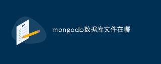mongodb 데이터베이스 파일은 어디에 있나요?