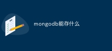 mongodb は何を保存できますか?