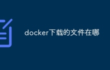 docker下载的文件在哪