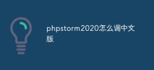 How to adjust the Chinese version of phpstorm2020