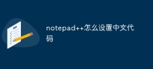 notepad++で中国語コードを設定する方法