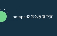 notepad2怎么设置中文