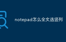 notepad怎么全文选竖列