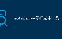 notepad++怎样选中一列