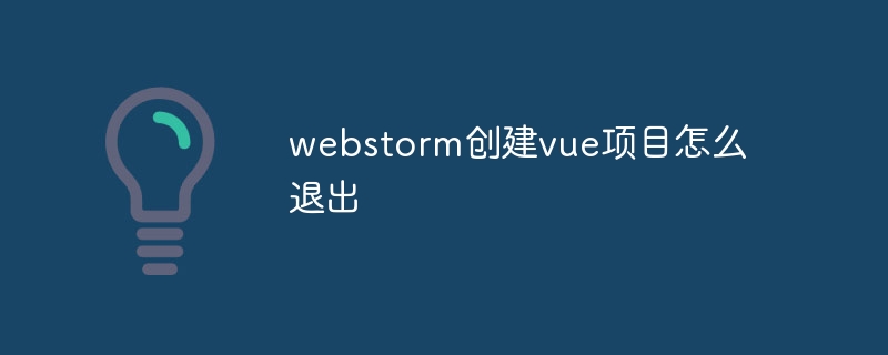 So beenden Sie ein von Webstorm erstelltes Vue-Projekt