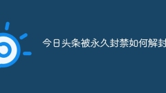 So entsperren Sie Toutiao, nachdem Sie dauerhaft gesperrt wurden