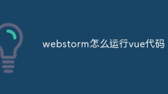 How to run vue code in webstorm