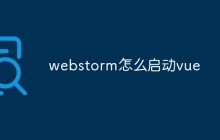 webstorm怎么启动vue