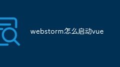 How to start vue in webstorm