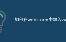 如何在webstorm中加入vue