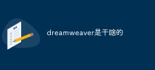What does dreamweaver do?