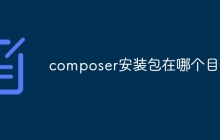 composer安装包在哪个目录