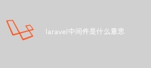 Laravel 미들웨어는 무엇을 의미합니까?